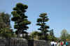 dscn0064.jpg (276741 bytes)