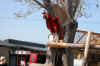 dscn0094.jpg (277035 bytes)