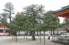 dscn0077.jpg (282690 bytes)