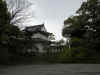 dscn0087.jpg (289782 bytes)