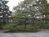 dscn0088.jpg (360727 bytes)