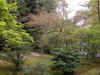 dscn0097.jpg (394023 bytes)