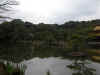 dscn0102.jpg (250711 bytes)