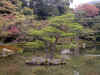 dscn0103.jpg (378651 bytes)