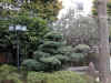 dscn0116.jpg (380659 bytes)