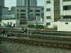 DSCN0084.jpg (193972 bytes)