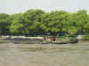 DSCN0105.jpg (205974 bytes)