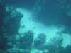 DSCN0113.jpg (94411 bytes)