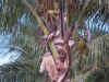 DSCN0135.jpg (229458 bytes)