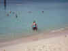 DSCN0137.jpg (95754 bytes)