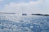 DSC_0763.jpg (167995 bytes)