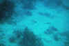 DSC_0770.jpg (95127 bytes)