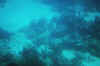 DSC_0771.jpg (95282 bytes)