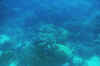 DSC_0773.jpg (93532 bytes)