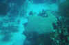 DSC_0775.jpg (117815 bytes)