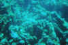 DSC_0776.jpg (128794 bytes)