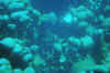 DSC_0777.jpg (109645 bytes)