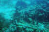 DSC_0778.jpg (136853 bytes)