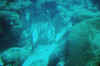 DSC_0781.jpg (135838 bytes)