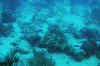 DSC_0783.jpg (135298 bytes)