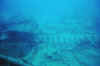 DSC_0793.jpg (85145 bytes)