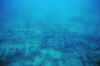 DSC_0794.jpg (82354 bytes)