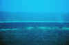 DSC_0796.jpg (74830 bytes)