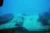 DSC_0798.jpg (77242 bytes)