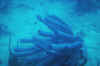 DSC_0802.jpg (97123 bytes)