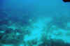 DSC_0804.jpg (87778 bytes)