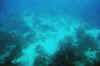 DSC_0805.jpg (93434 bytes)