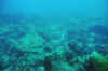 DSC_0806.jpg (109127 bytes)