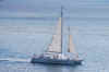 DSC_0871.jpg (146272 bytes)