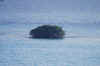 DSC_0873.jpg (148987 bytes)