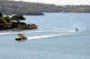 DSC_2128.jpg (117385 bytes)