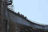 DSC_2151.jpg (98827 bytes)