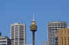 DSC_2154.jpg (90298 bytes)
