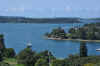 DSC_2161.jpg (122135 bytes)