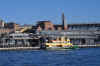 DSC_2175.jpg (127677 bytes)