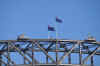 DSC_2181.jpg (108232 bytes)