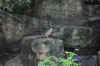 DSC_2203.jpg (126127 bytes)