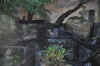 DSC_2204.jpg (125147 bytes)