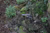 DSC_2205.jpg (148211 bytes)