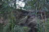 DSC_2207.jpg (143160 bytes)