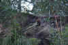 DSC_2208.jpg (124288 bytes)