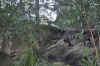 DSC_2209.jpg (132211 bytes)