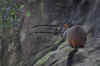 DSC_2213.jpg (118627 bytes)