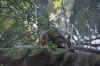 DSC_2214.jpg (122186 bytes)