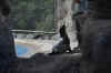 DSC_2238.jpg (128029 bytes)