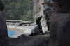 DSC_2239.jpg (127553 bytes)